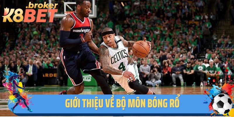 Giới thiệu về bộ môn bóng rổ