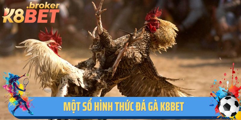 Một số hình thức đá gà K8BET tích hợp trên hệ thống