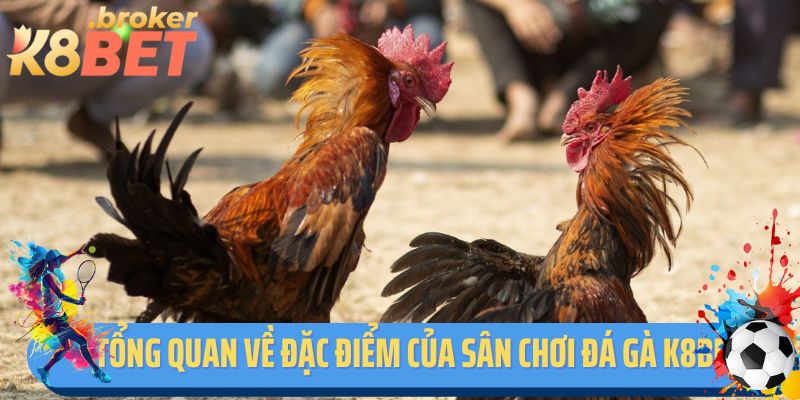 Tổng quan về đặc điểm của sân chơi đá gà K8BET